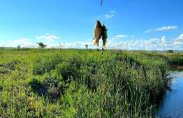 Teren extravilan 6,5Ha ,cu lac piscicol de 4,5Ha ,in Bontida