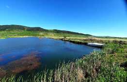 Teren extravilan 6,5Ha ,cu lac piscicol de 4,5Ha ,in Bontida