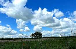 Teren extravilan 6,5Ha ,cu lac piscicol de 4,5Ha ,in Bontida