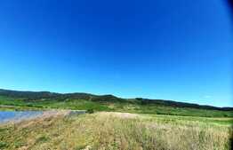 Teren extravilan 6,5Ha ,cu lac piscicol de 4,5Ha ,in Bontida