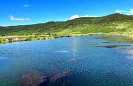 Teren extravilan 6,5Ha ,cu lac piscicol de 4,5Ha ,in Bontida