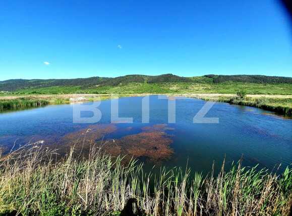 Teren de vânzare Exterior Est - 88880TV | BLITZ Cluj-Napoca | Poza6