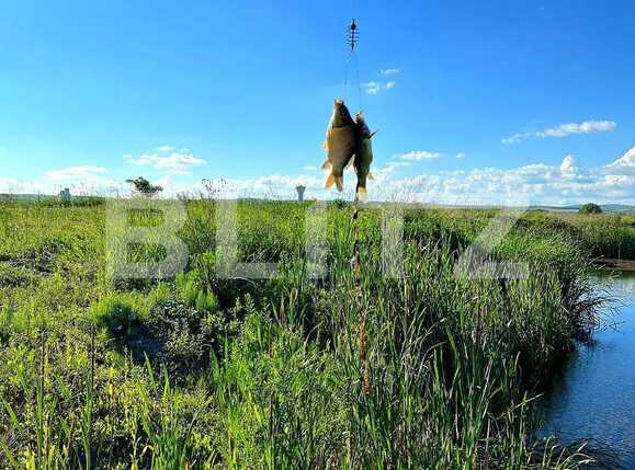 Teren de vânzare Exterior Est - 88880TV | BLITZ Cluj-Napoca | Poza8