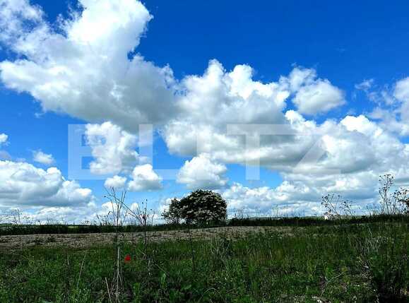 Teren de vânzare Exterior Est - 88880TV | BLITZ Cluj-Napoca | Poza2