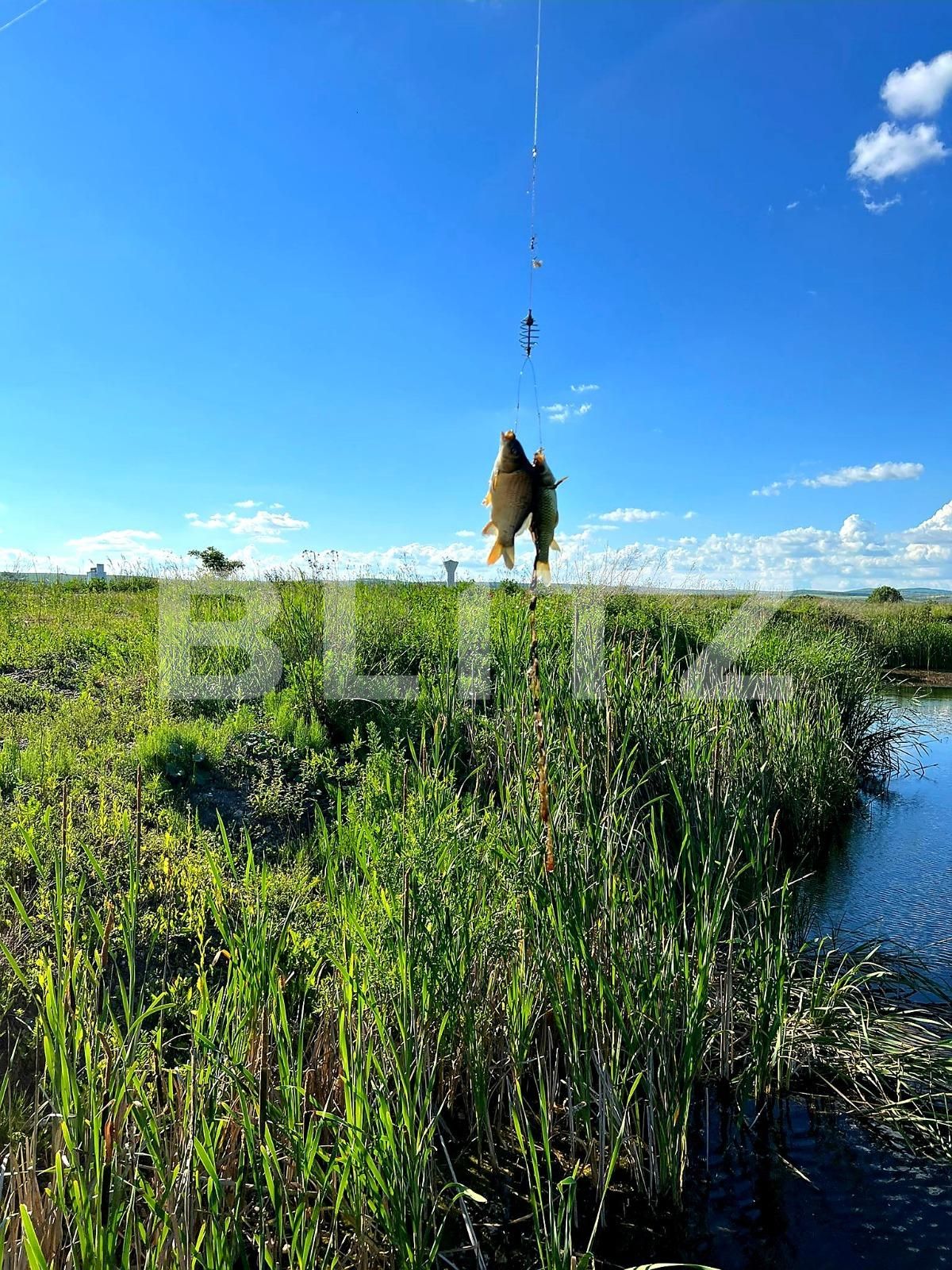 Teren de vânzare Exterior Est - 88880TV | BLITZ Cluj-Napoca | Poza8
