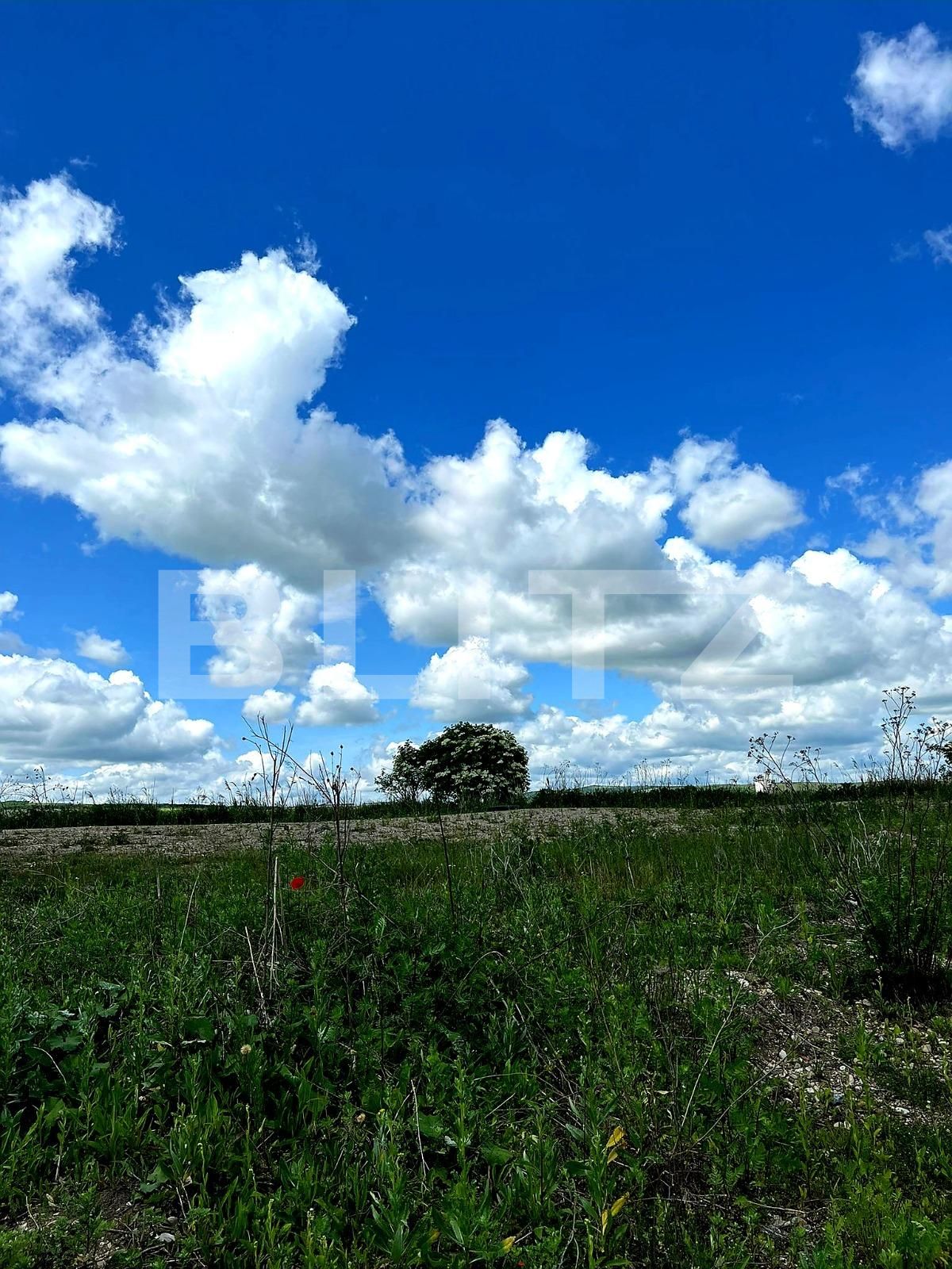 Teren de vânzare Exterior Est - 88880TV | BLITZ Cluj-Napoca | Poza2