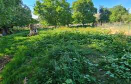 Teren intravilan pentru constructie de casa, zona Colonia de Sub Deal