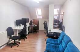 Investitie! Apartament de 3 camere, 126 mp, terasa, zona Centrala