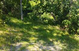 Oportunitate! Teren 3174 mp, cu priveliste! Grigorescu, zona Donath, pentru construit casa!