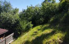 Oportunitate! Teren 3174 mp, cu priveliste! Grigorescu, zona Donath, pentru construit casa!