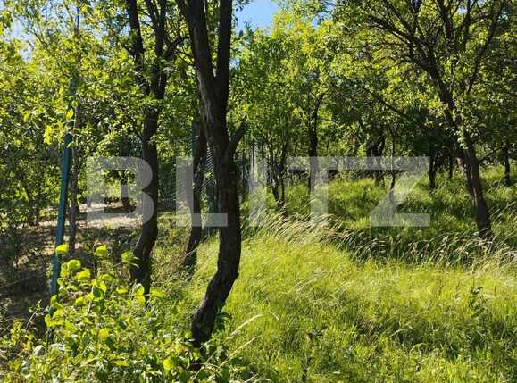 Teren de vânzare Grigorescu - 88901TV | BLITZ Cluj-Napoca | Poza1