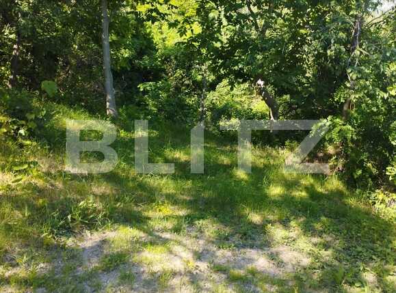 Teren de vânzare Grigorescu - 88901TV | BLITZ Cluj-Napoca | Poza3