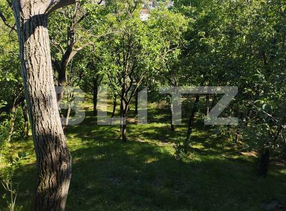 Teren de vânzare Grigorescu - 88901TV | BLITZ Cluj-Napoca | Poza4