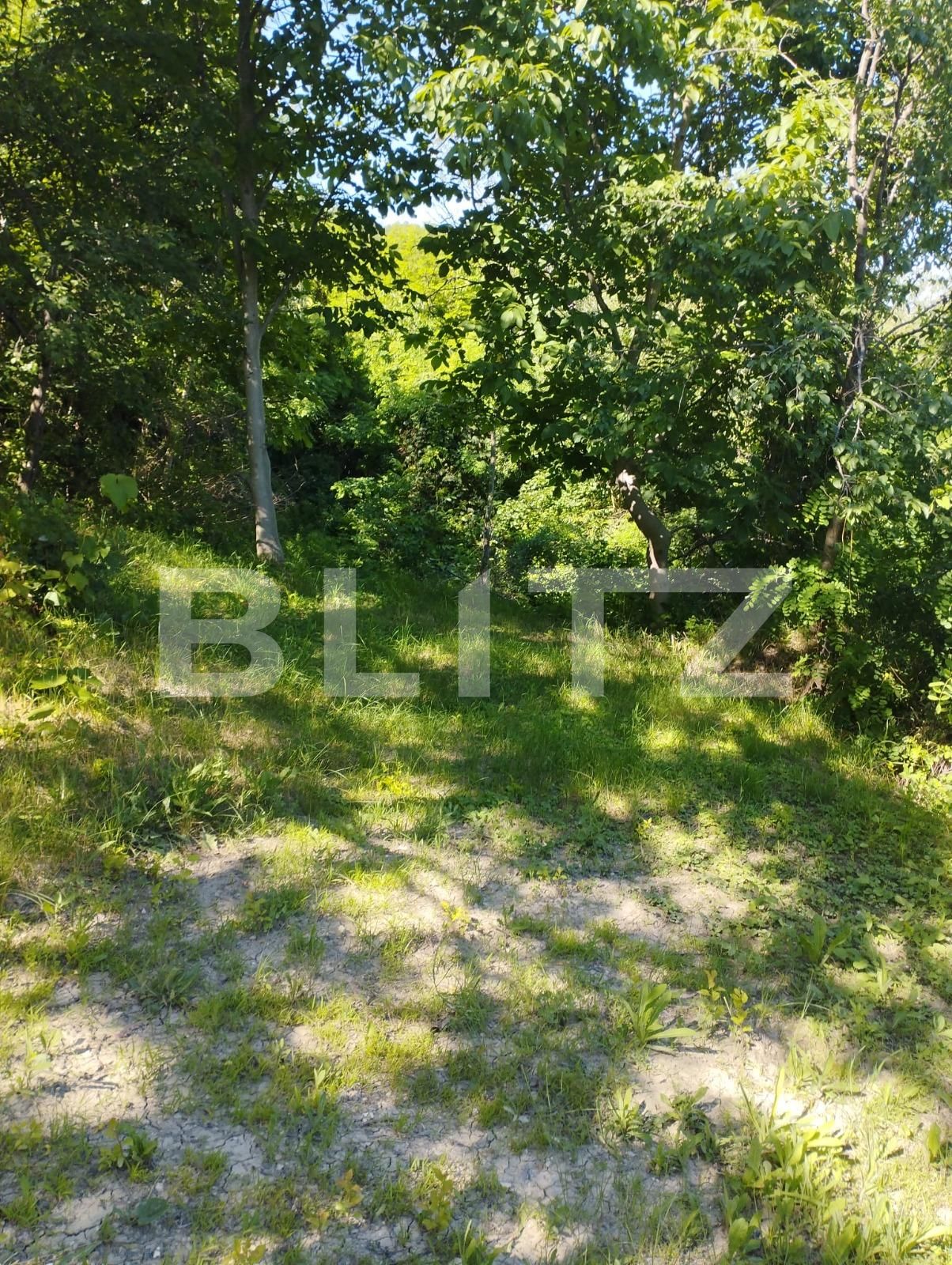 Teren de vânzare Grigorescu - 88901TV | BLITZ Cluj-Napoca | Poza3