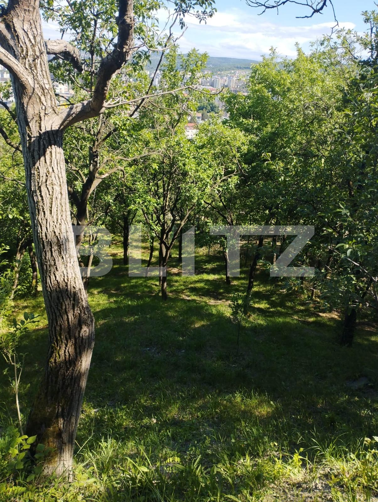 Teren de vânzare Grigorescu - 88901TV | BLITZ Cluj-Napoca | Poza4