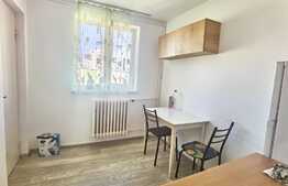 Apartament de 2 camere, 40 mp, renovat recent, zona Alverna