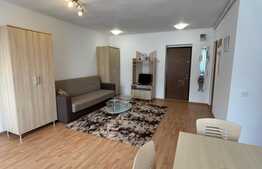 Garsoniera cocheta, 34 mp, petfriendly, zona Florilor