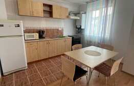 Garsoniera cocheta, 34 mp, petfriendly, zona Florilor