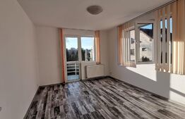 Casa spatioasa, 200 mp, garaj, parcari, terasa, zona Engels
