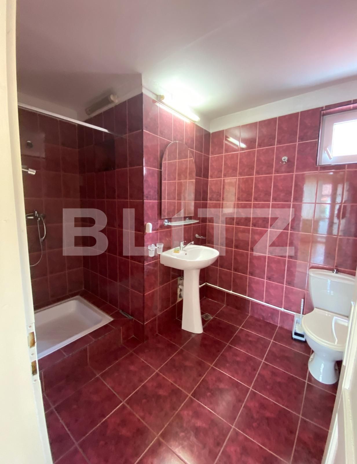 Casa de închiriat 4 camere Andrei Mureşanu - 88971CI | BLITZ Cluj-Napoca | Poza11