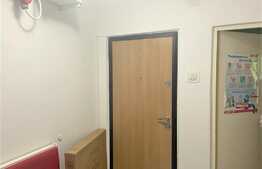 Apartament 2 camere, parter, zona Astra