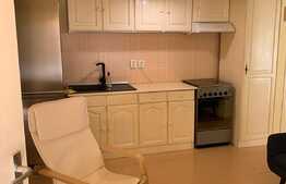 Garsoniera de 33 mp, grădină, zona Câmpului