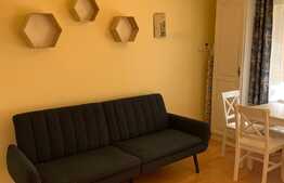 Garsoniera de 33 mp, grădină, zona Câmpului