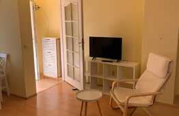 Garsoniera de 33 mp, grădină, zona Câmpului