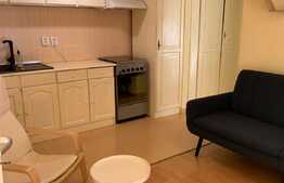 Garsoniera de 33 mp, grădină, zona Câmpului