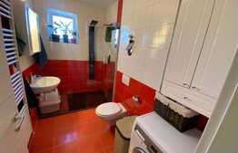 Apartament de 2 camere, 55mp, decomandat, Zona Bartolomeu