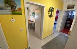 Apartament de 2 camere, 55mp, decomandat, Zona Bartolomeu