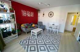 Apartament de 2 camere, 55mp, decomandat, Zona Bartolomeu