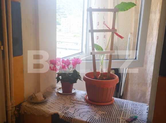 Garsonieră de vânzare Noua - 89031AV | BLITZ Brașov | Poza6