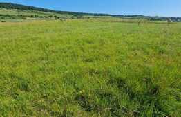 Teren extravilan, in zona centurii de Nord, Donath