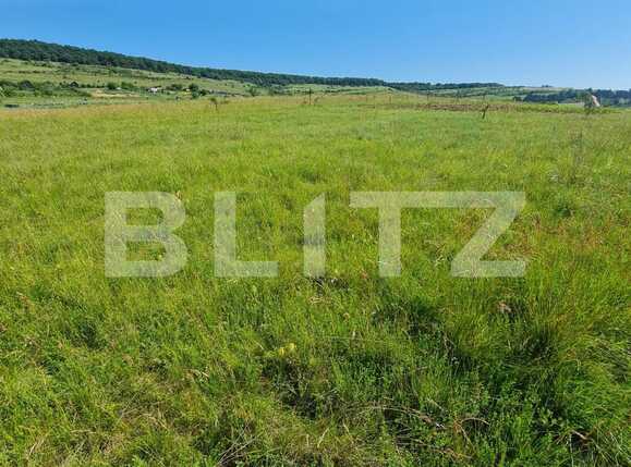 Teren de vânzare Floreşti - 89082TV | BLITZ Cluj-Napoca | Poza1