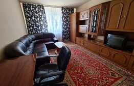 Garsoniera, 25 mp, etaj intermediar, zona Expo Transilvania