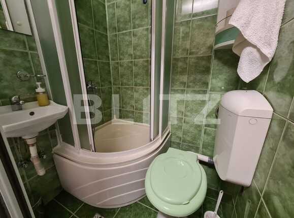 Garsonieră de închiriat Marasti - 89104AI | BLITZ Cluj-Napoca | Poza6