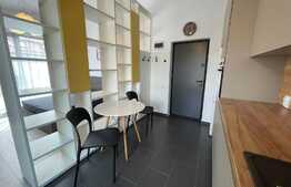 Garsoniera, 40 mp, prima inchiriere, terasa 20 mp, zona UMF