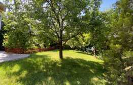 Pret atractiv: casa la cheie, 200 mp utili, 500 mp teren, Corneliu Coposu