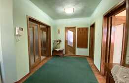 Pret atractiv: casa la cheie, 200 mp utili, 500 mp teren, Corneliu Coposu