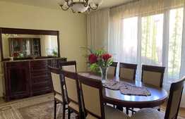 Pret atractiv: casa la cheie, 200 mp utili, 500 mp teren, Corneliu Coposu