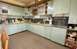 Pret atractiv: casa la cheie, 200 mp utili, 500 mp teren, Corneliu Coposu