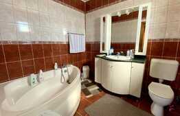 Pret atractiv: casa la cheie, 200 mp utili, 500 mp teren, Corneliu Coposu