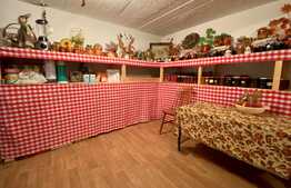 Pret atractiv: casa la cheie, 200 mp utili, 500 mp teren, Corneliu Coposu