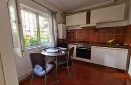 Apartament 1 camera, decomandat, 45 mp, zona Dorobantilor