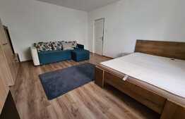 Apartament 1 camera, decomandat, 45 mp, zona Dorobantilor