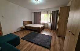 Apartament 1 camera, decomandat, 45 mp, zona Dorobantilor