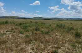 Oportunitate! Teren 12000 mp, cu PUZ, zona centura Apahida-Cluj