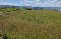 Teren intravilan 7808 mp, zona Bulevardul Muncii