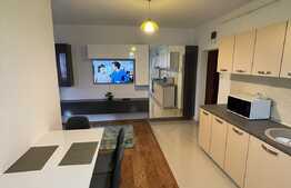 Apartament de 2 camere, 50 mp, modern, etaj intermediar, zona Vivo